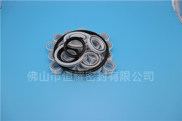HOB、HVB孔用泛塞封 (6)