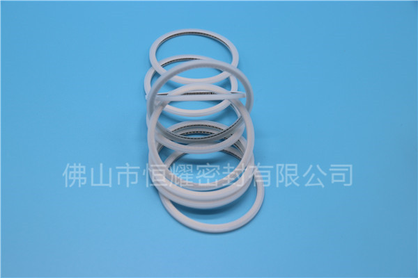 HVF、HVG端面內、外向泛塞封 (15)